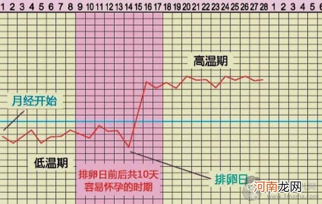 月经走后几天会排卵？抓住这3个排卵信号，提高受孕率