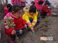 植树节快到了！推荐3个幼儿园植树节活动方案