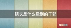 镇党委书记是什么级别的干部 镇长是什么级别的干部