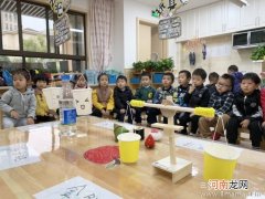 幼儿园大班科学活动《数种子》