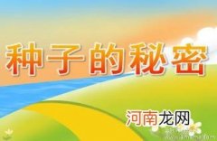 幼儿园大班科学活动《黑色魔术棒》教案