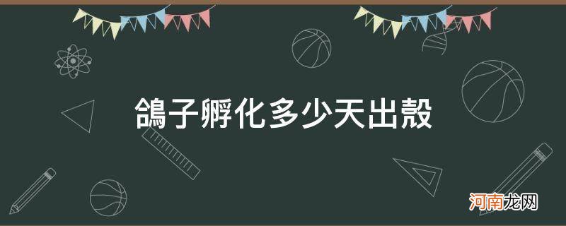 鸽子孵化多少天出壳白天出壳还是晚上出壳 鸽子孵化多少天出壳