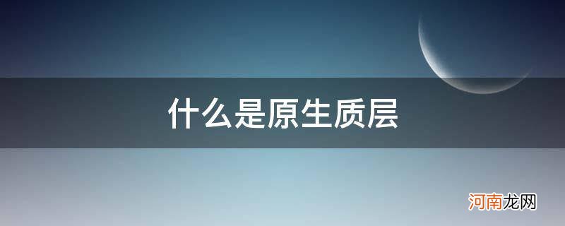 什么是原生质层