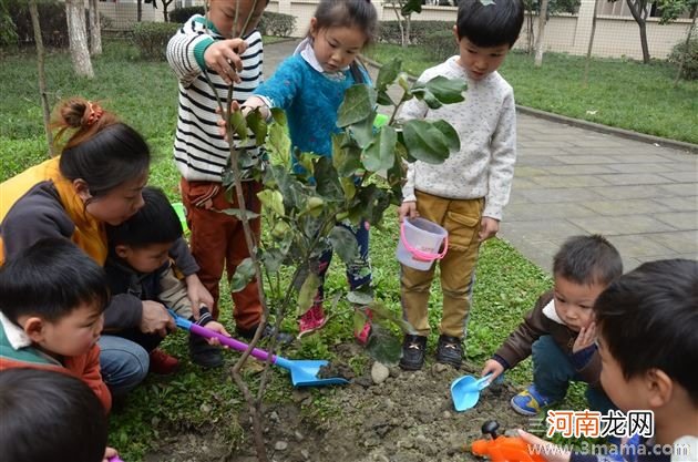 幼儿园大班艺术活动《我爱植树》