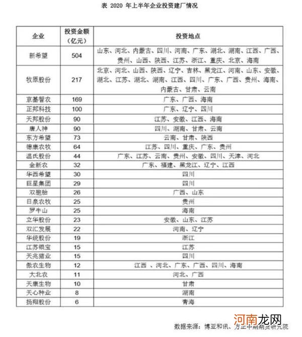 未来猪企或将面临一场灾难？猪价会降到10元/斤以下吗？