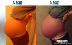 怀孕27周胎动在下腹部