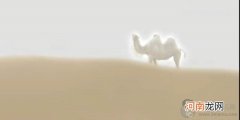鬼吹灯之精绝古城中大家看到的白骆驼是幻觉吗 小说中存在吗