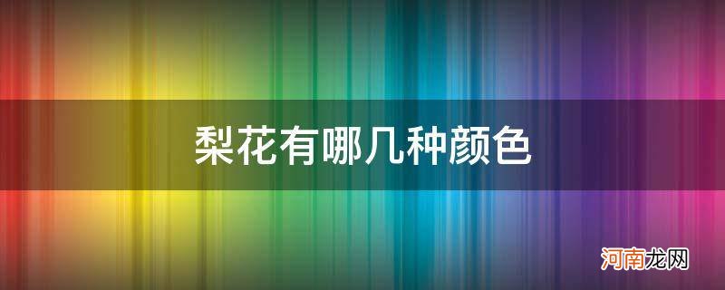 梨花的种类有哪些颜色 梨花有哪几种颜色