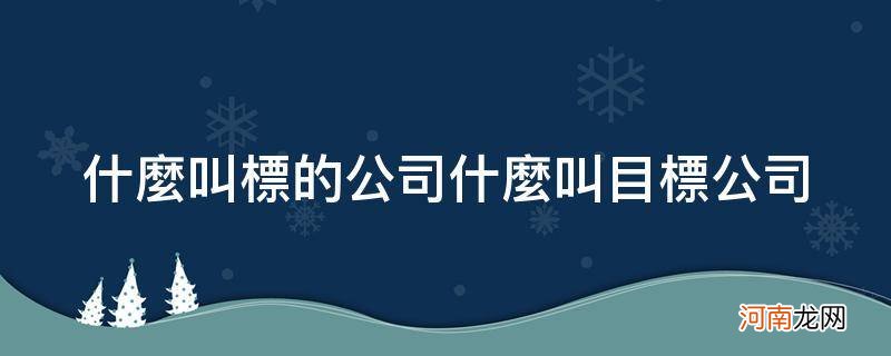 目标公司指的是什么 什么叫标的公司什么叫目标公司