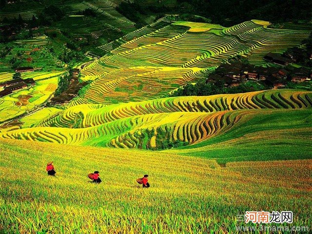 风雨，云雾，飘荡在我的视角