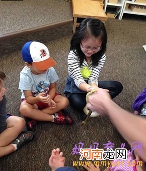 幼儿园真蛇教学方法 惊到我目瞪口呆