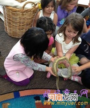 幼儿园真蛇教学方法 惊到我目瞪口呆