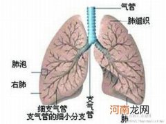 小儿哮喘的病因症状有哪些呢？