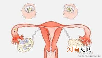 每月都正常排卵， 为什么还是没怀上？