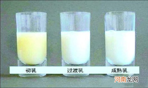 和成熟乳比较初乳的特点是什么