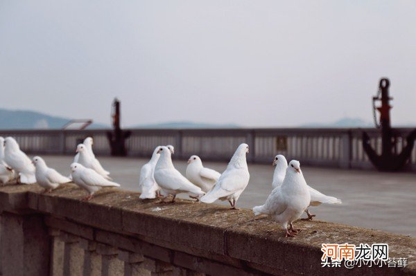 自驾游大连旅游攻略 冬季大连旅游攻略