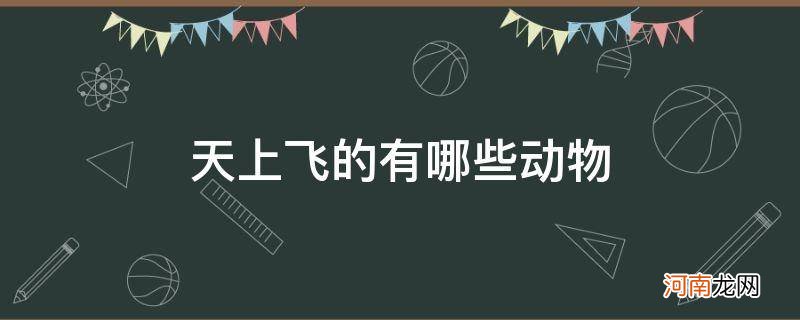 天上飞的有哪些动物图片 天上飞的有哪些动物