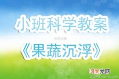 附教学反思 小班科学活动教案：果蔬沉浮教案