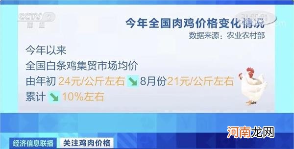 养一只赔10元！鸡肉“降价潮”来了？三年来首次下降 超市还打折促销！