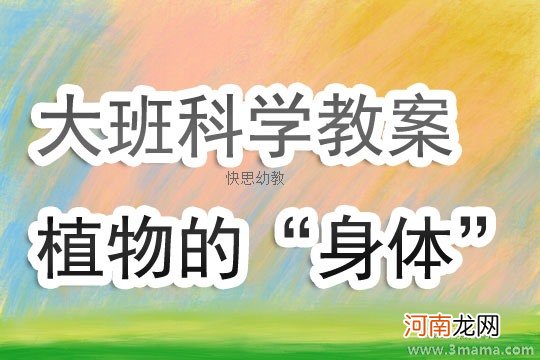 小班科学活动教案：植物教案