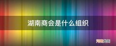 湖南商会百度百科 湖南商会是什么组织