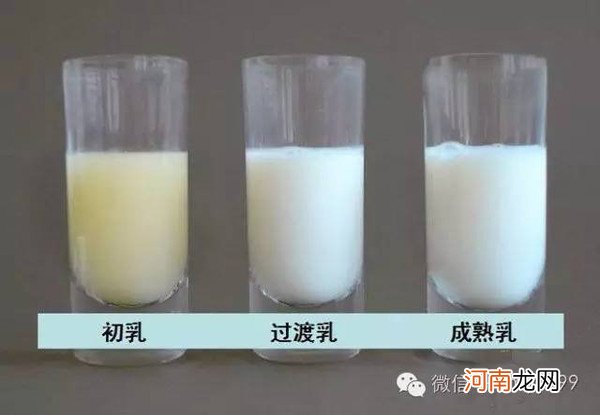 母乳的颜色橙色