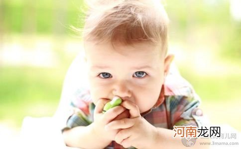 挑食宝宝吃什么好 3款饭菜