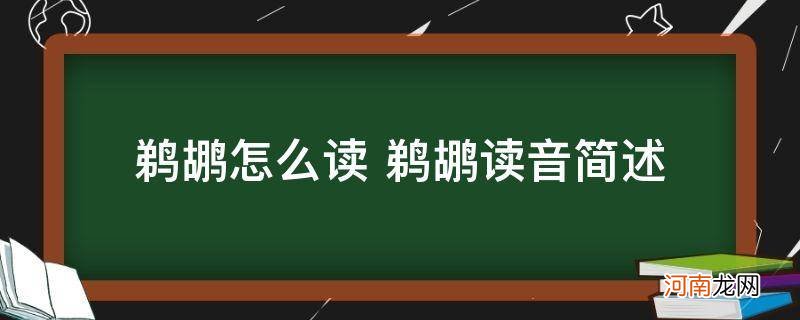 鹈鳺怎么读 鹈鹕怎么读 鹈鹕读音简述