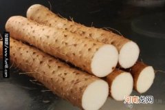 山药的功效与作用以及副作用禁忌