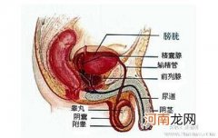 什么是阴囊潮湿