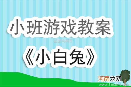 小班健康活动聪明的小兔子教案反思