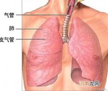 冬天有哪些方法可以预防慢性支气管炎呢