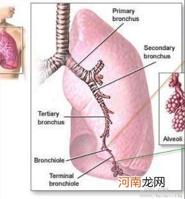 小儿支气管哮喘症状表现