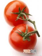 生吃西红柿为啥会“中毒”