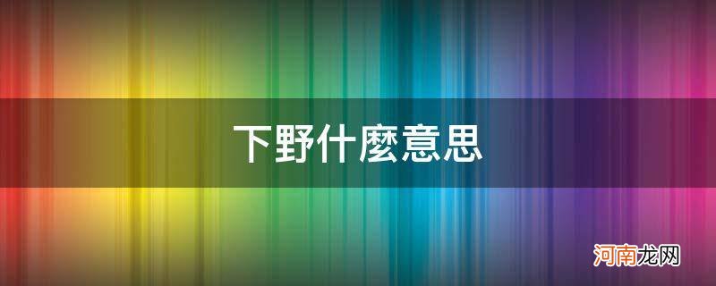 率土之滨下野什么意思 下野什么意思