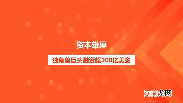 社区团购复活赛：美团、拼多多、滴滴、饿了么激战110天