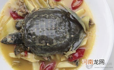 孕妇春季不宜吃的食物 6种食物孕妇要注意