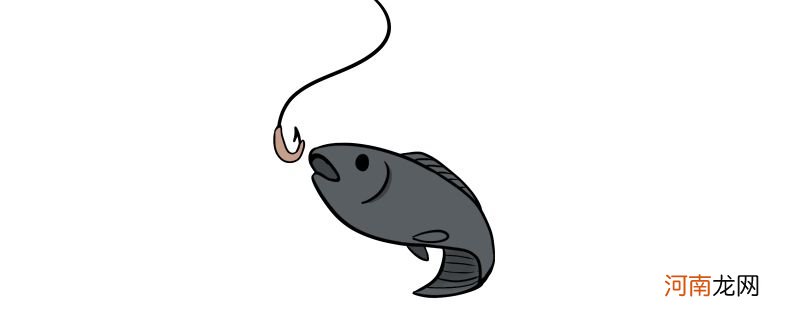 鱼钩是什么鱼