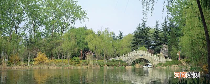 黄河湿地公园和黄河风景区区别