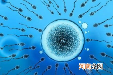 纯母乳五个月会怀孕吗