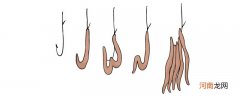 红虫拉饵的开饵方法及使用技巧