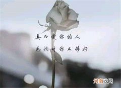 爱的模样