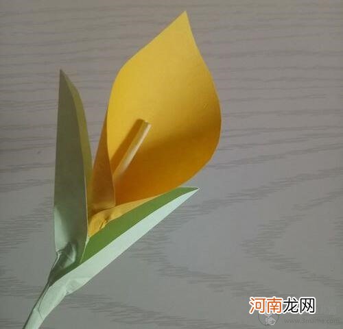 教师节礼物，马蹄莲纸艺花制作过程