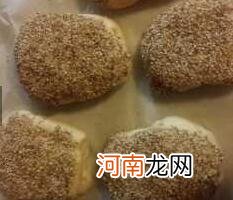 儿童食谱鸭类：鸭油烧饼