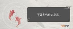 琴瑟和鸣什么意思