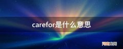 carefor的意思中文翻译 carefor是什么意思