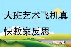 大班安全活动教案：乘飞机教案