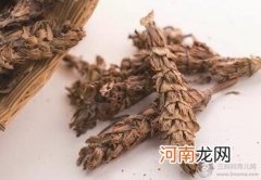 夏枯草治小儿湿疹没那么神