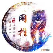 动动手指就能挣钱你信吗？转发雪梨网app平台文章？