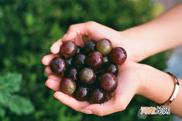 孕妇吃什么水果宝宝皮肤白 这些水果孕妈一定要记牢